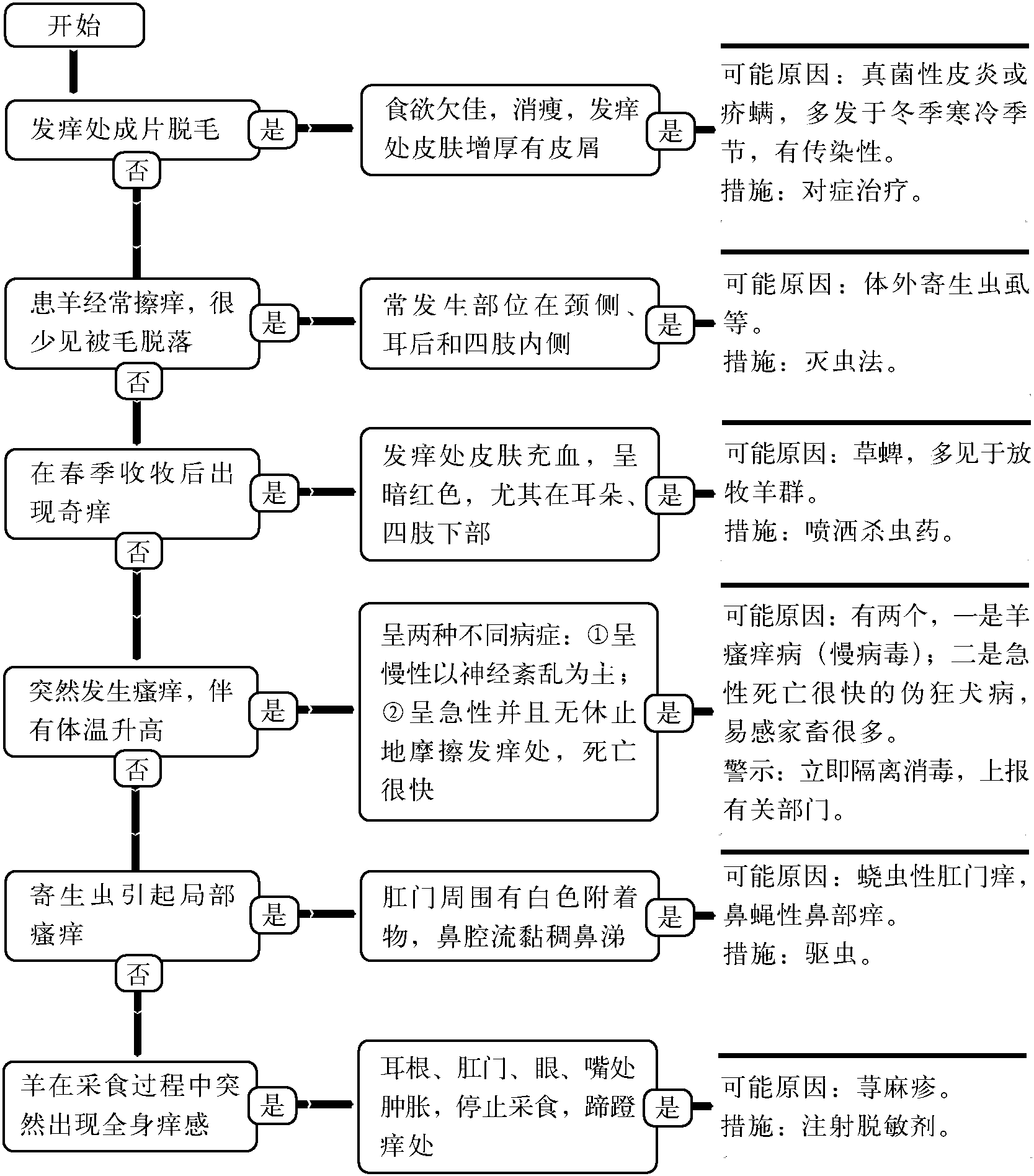 31.瘙癢